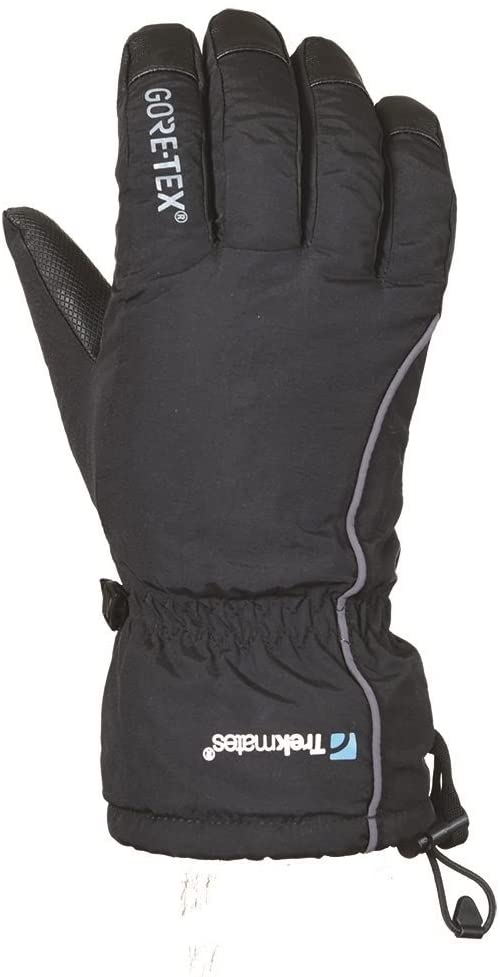 Chamonix glove GTX unisex