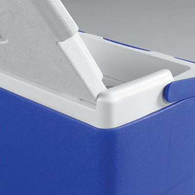COLEMEN 9 QUART EXCURSION® COOLER Blue