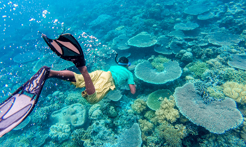 Snorkeling