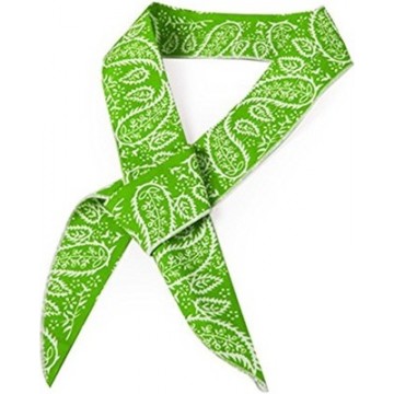 N rit Polars Ice scarf Green