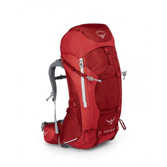 Ariel AG 65W DPK