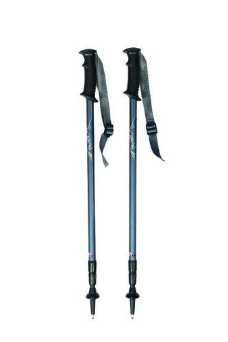 Walker Shock Stick