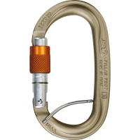 CLIMBING TECHNOLOGY PILLAR PRO SGL-HC CARABINER
