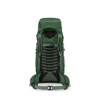 Osprey Talon™ 33 GREEN CANOPY PINE LEAF